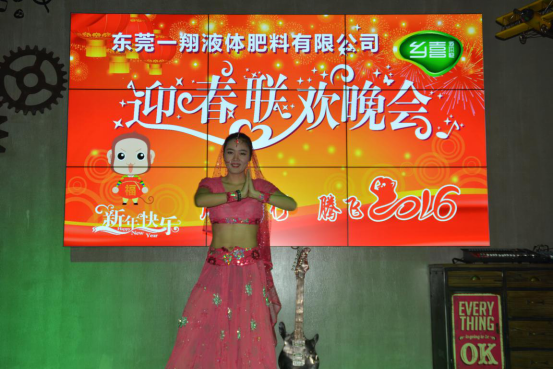 東莞一翔迎春聯(lián)歡晚會